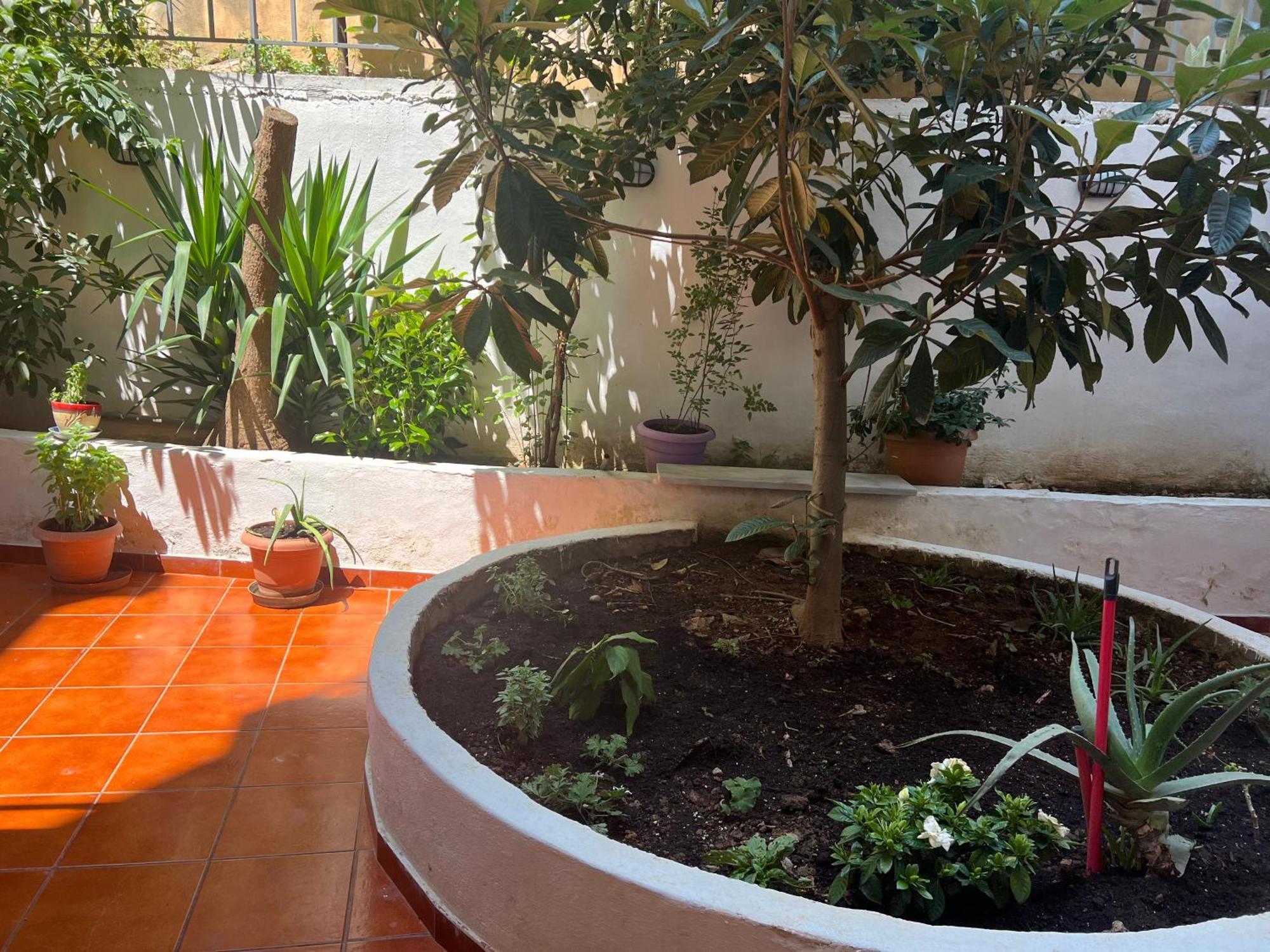 Athens Studio מראה חיצוני תמונה